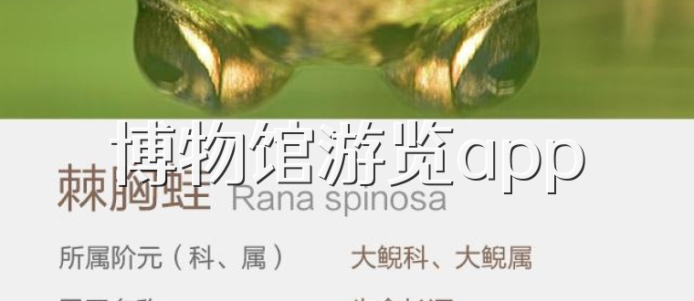 博物馆游览app