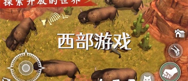 西部游戏