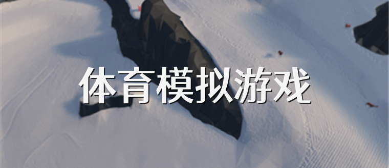 体育模拟游戏