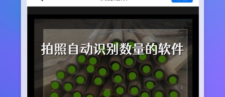 拍照自动识别数量的软件
