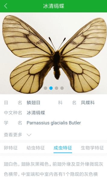 虫警app 截图3