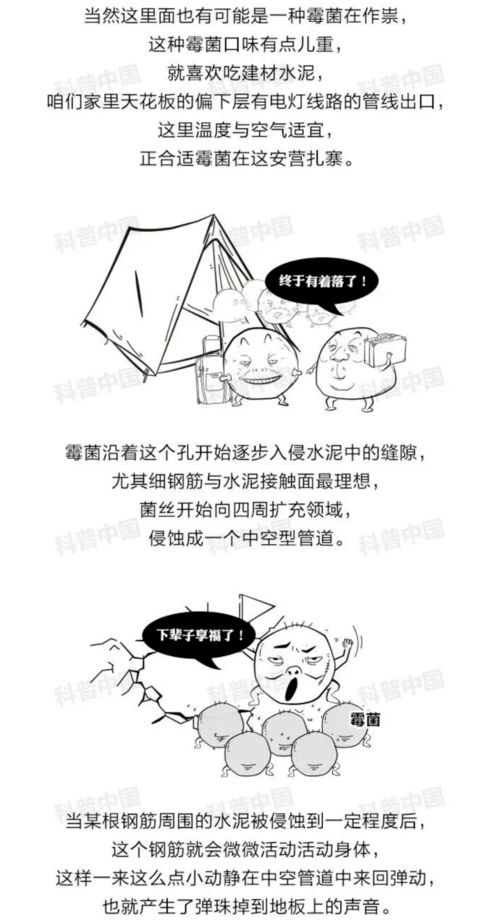 揭秘：楼上弹珠声之谜，真相竟是这样！ 2