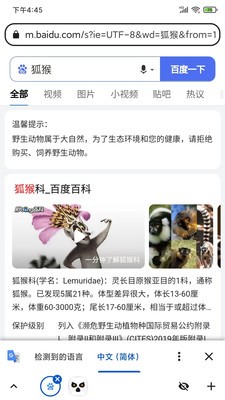 Lemur浏览器 截图2