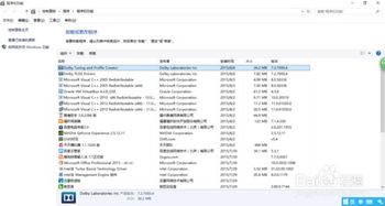 如何让电脑音效更完美？安装Dolby系统级音效的方法是什么？ 2