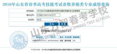 如何快速查询春考考试成绩 2