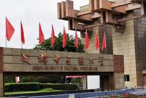 揭秘：成都中医药大学学工网初始登录密码全攻略 3