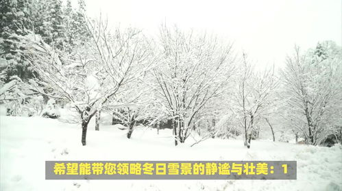 绝美雪景：银装素裹的梦幻世界 2