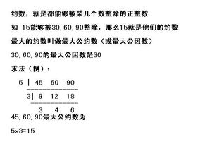 揭秘约数的奥秘：你所不知的数学小秘密 4