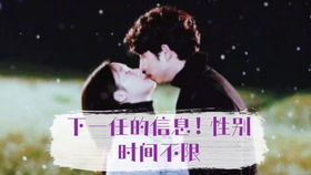 揭秘！《倔强萝卜》结尾曲的动人旋律，你听过吗？ 2