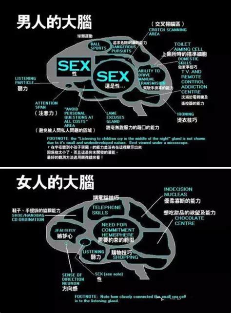探索男女之间那些微妙而有趣的差异 2
