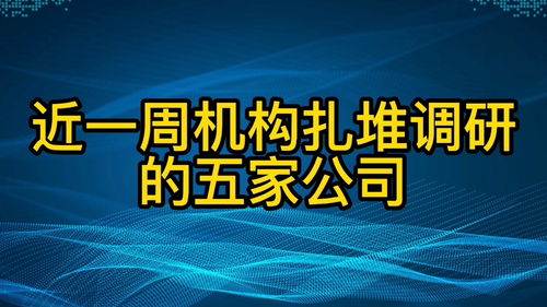 掌握秘诀：高效调研一家公司的全面指南 2