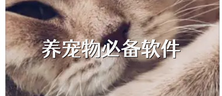 养宠物必备软件