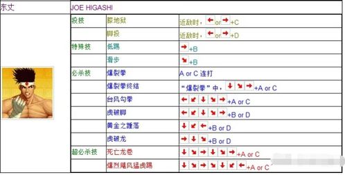 东丈的格斗秘籍：全面出招表大揭秘 2