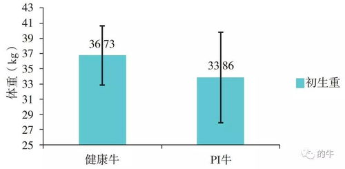 揭秘：kgf与kg，你真的分清楚了吗？ 2