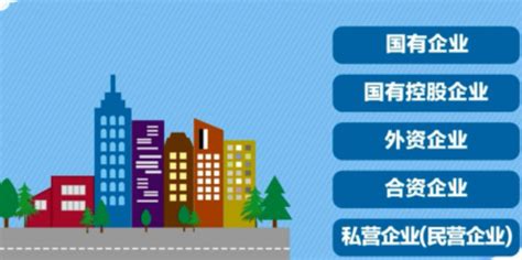 如何准确填写工作单位性质，打造专业简历第一步 5