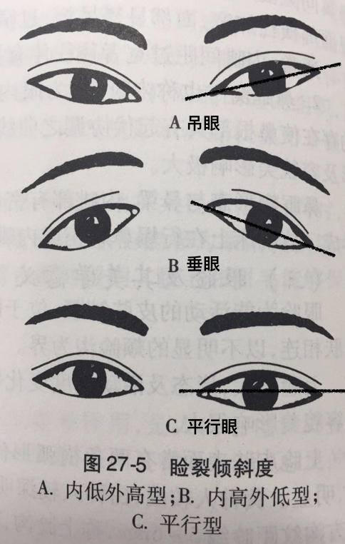 如何画出好看的眼影？ 4