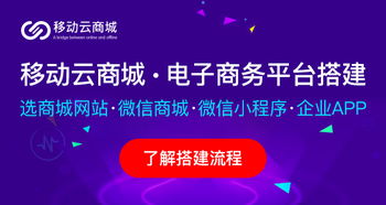 揭秘：高效推广网上商城的绝妙策略 1