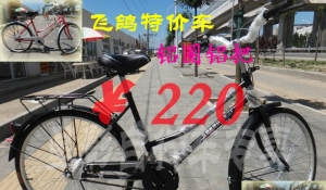 上海哪里可以买到飞鸽自行车？ 2
