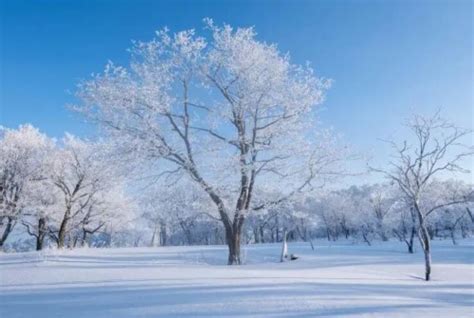 小雪时节景象描绘于哪句古诗中——蚂蚁庄园探索 3