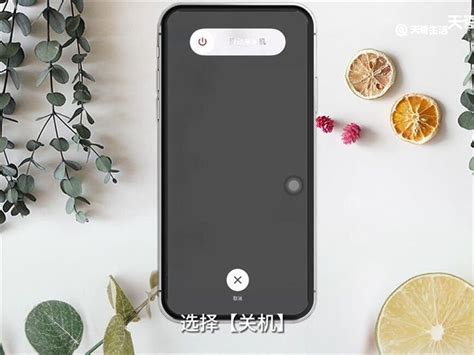 苹果iPhone 12关机方法 2