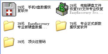 迅龙数据恢复软件注册码急求！ 4