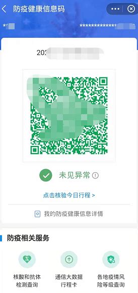 如何在支付宝查看与找到申请的健康码 4