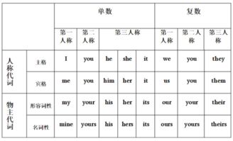 动物园的复数形式是什么 2