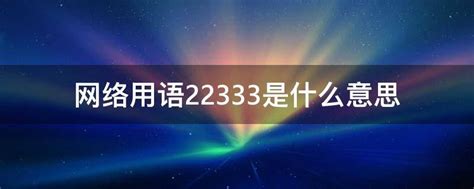 揭秘“网络2333”背后的趣味含义 2