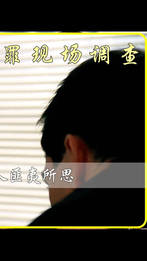 揭秘：酒吧“仙人跳”背后的真相 4