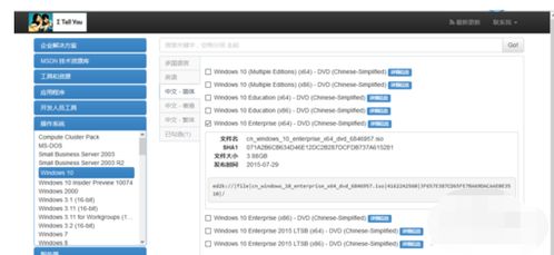 轻松指南：如何在MSDN下载Windows 10官方镜像 2