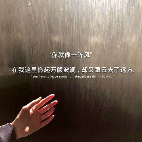 探究'遗憾'一词的深刻含义 2