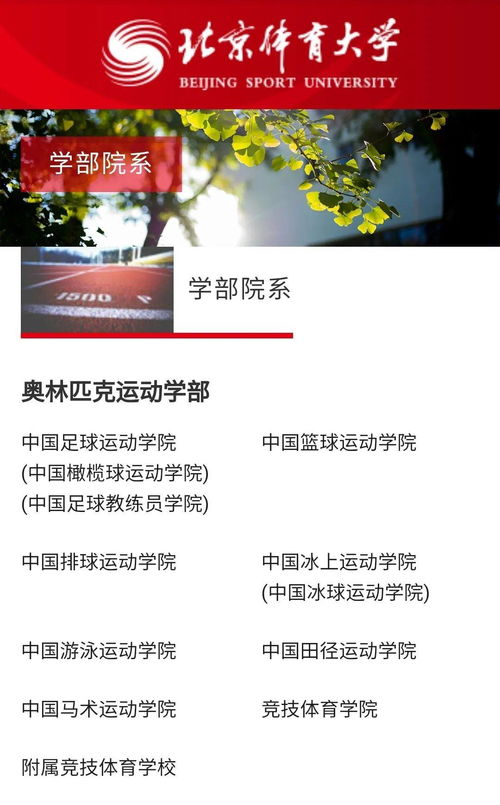东京奥运会中国金牌得主排名榜单 3