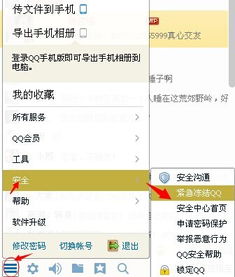 一键掌握：如何安全冻结QQ号的方法 4