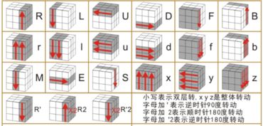 揭秘“: d”背后的真正含义 2