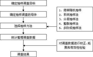 揭秘：多样化的抽样调查方法大揭秘 2