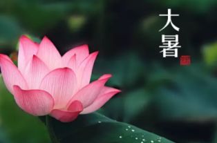 大暑节气应该吃什么？ 2