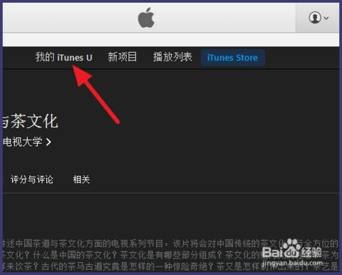 iTunes的定义与功能详解 1