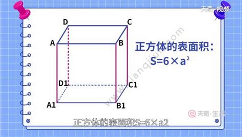 如何计算正方体的表面积和单个面的面积？ 2