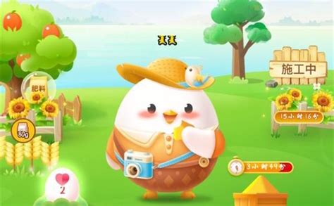 揭秘！公鸡报晓的秘密，蚂蚁庄园10月9日为你解答 4