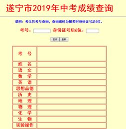 如何查询2019年中考分数？ 2