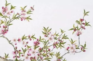 刘禹锡描写桃花的诗句有哪些？ 3
