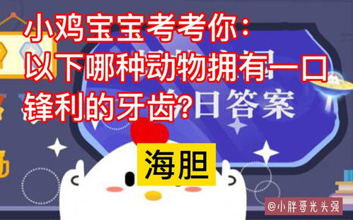 揭秘蚂蚁庄园：哪种动物藏着一口令人惊叹的锋利牙齿？ 3