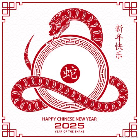 揭秘2025年：迎接神秘蛇年的到来 4