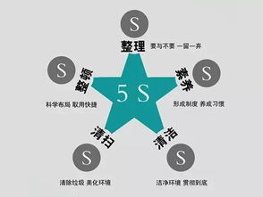 实施5S活动的步骤指南 2