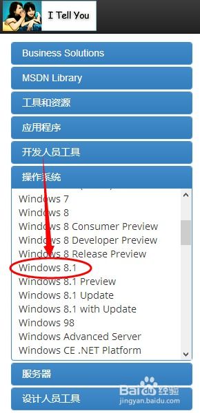 Win8.1标准版VS专业版：哪个版本更适合您的需求？ 1