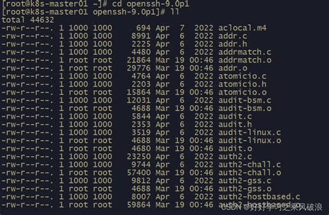 如何在Red Hat 6.2上升级openSSH（包括GCC和openSSL）？ 2