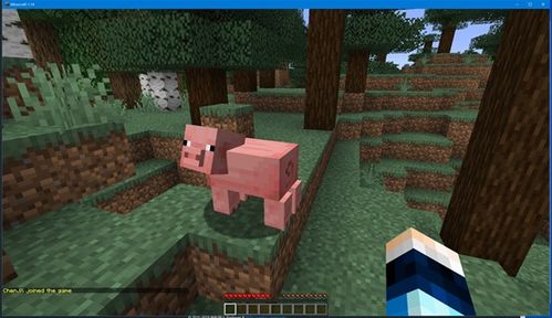 打造你的Minecraft水桶服务器：一步步教程 4