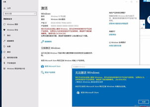 Windows10永久激活密钥获取教程（详细步骤） 2