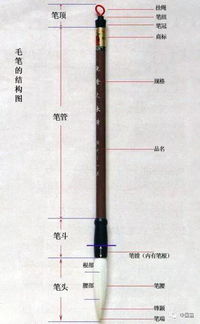 冰壶的结构是如何构成的图解 2