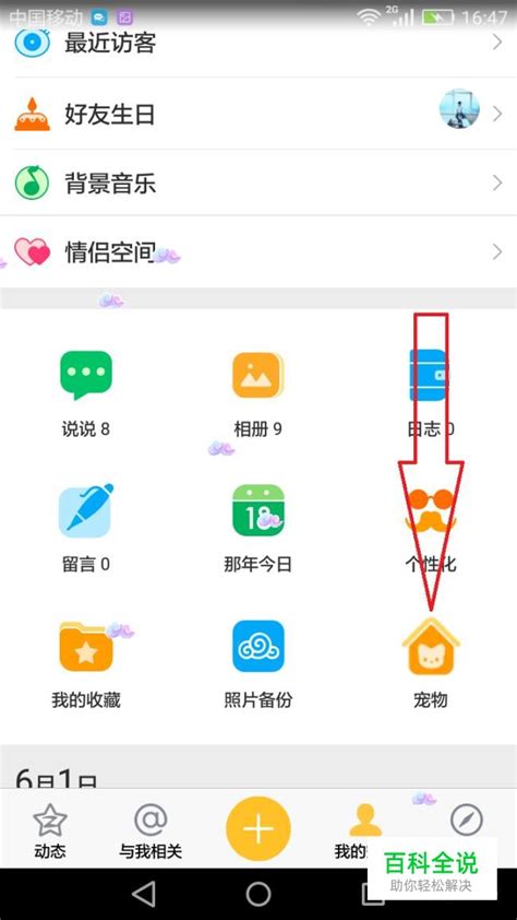 如何领取QQ宠物 2